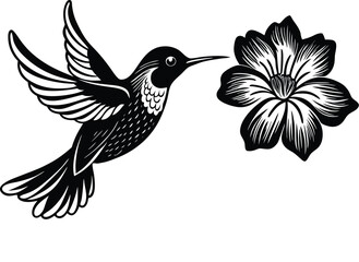 Sunbird among vibrant petals on white background