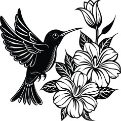 Sunbird among vibrant petals on white background