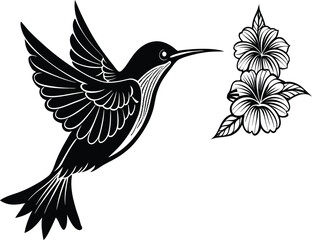 Sunbird among vibrant petals on white background