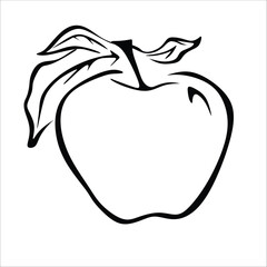 Apple line art illustration. Apple with leaf outline illustration. Healthy vegan food concept