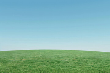 Obraz premium horizontal image of a green field in a sunny day, clear blue sky, copy space