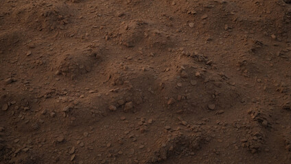Natural Soil Top View