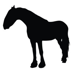 silhouette of a horse racing animal
