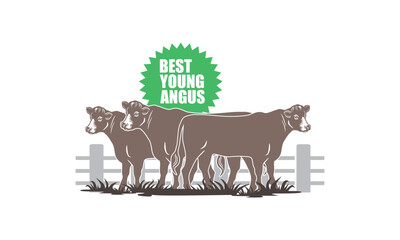 young angus cow standing logo, silhouette of healthy cattle in ranch vector illustrations