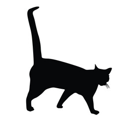 Black Cat Silhouette with white background