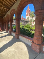 Crow picking through the trash