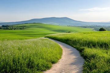 Fototapeta premium Lush green fields stretch across the landscape, with gentle rolling hills in the background. The clear blue skies enhance the serene beauty of this natural setting