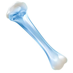 Transparent dog bone toy designed for playful dogs to chew on and keep them entertained