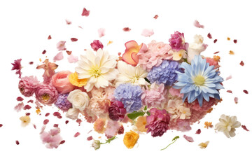 A burst of mixed flower petals in pastel tones falling in an elegant, scattered arrangement, isolated on white background