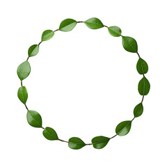 Green leaves border png transparent background