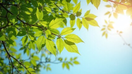 Lush serene natural scene tree branch green leaves light