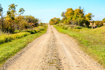 A dirt road with trees in the background