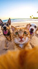 A playful cat and two dogs enjoy a sunny day at the beach, capturing the joy of friendship in a vibrant outdoor setting.