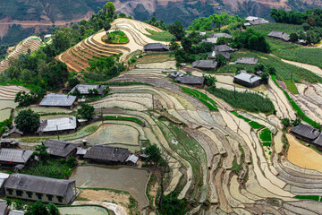 Plowing the fields for the new rice crop in Hoang Su Phi, Ha Giang, this is manual and hard work....