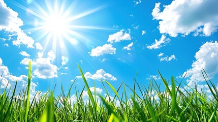 A bright summer background featuring a blue sky, sunshine, and vibrant green grass, evoking a warm and sunny day
