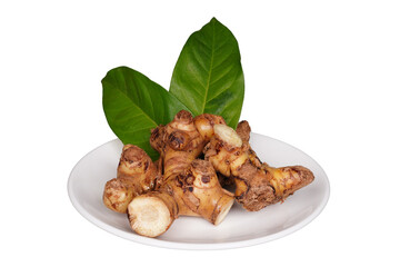 Galangal root and its leaves on a white plate isolated transparent