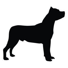 Dog Cane Corso silhouette 