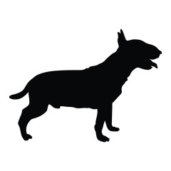 Bull Terrier Isolated vector illustration silhouette. breed dog. dog show.