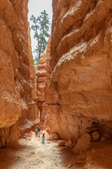 Hiker (unrecognizable) on a trail in Bryce Canyon National Park, Utah, USA
