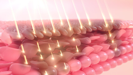 The skin layer heals wrinkles and repairs sagging skin produced by dermal cells. Skin Repair Concept. UV light affects skin damage. 3D rendering rendering