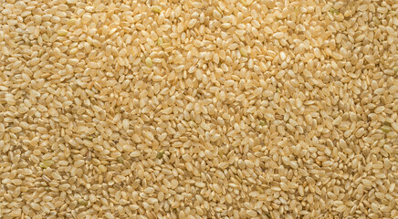 Japanese brown rice of the koshihikari type in full screen