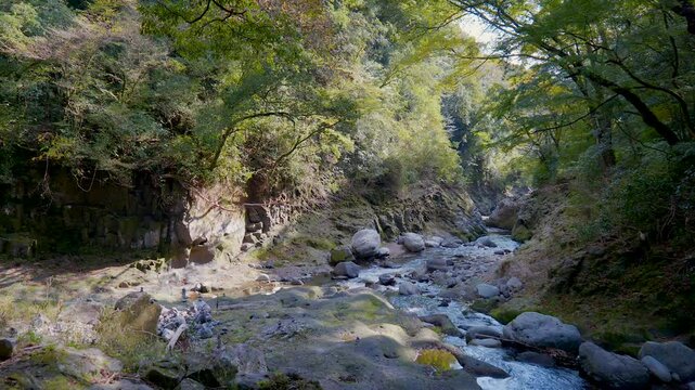 宮﨑 天岩戸神社 岩戸川の風景