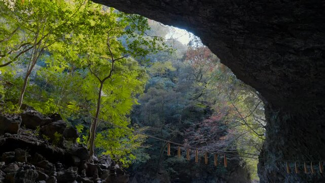 宮﨑 天岩戸神社 仰慕ケ窟