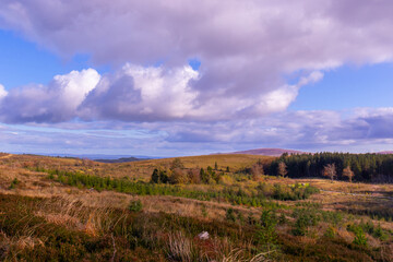 yellow-green meadows against a backdrop of blue sky and clouds