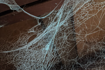 Creepy white spider web on wood background, spider web on the old dirty window in the morning