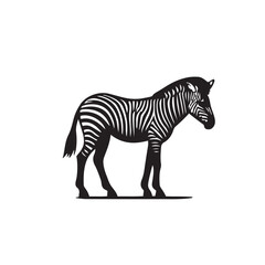 Obraz premium zebra vector, zebra icon, silhouette of zebra crossing vector illustration, zebra silhouette, icon logo