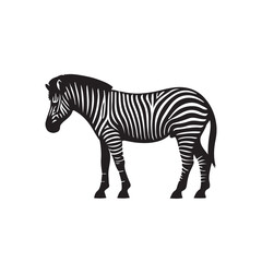 zebra vector, zebra icon, silhouette of zebra crossing vector illustration, zebra silhouette, icon logo