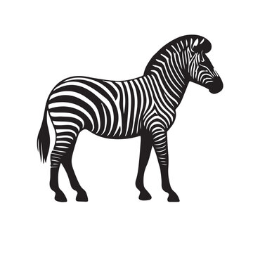 recommend clip art: zebra vector, zebra icon, silhouette of zebra crossing vector illustration, zebra silhouette, icon logo