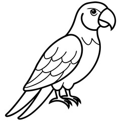 A drawing of a Parrot bird on white background  line art icon sign silhouette vector illustration with fun brush ink typography for photo overlays t-shirt print flyer poster design