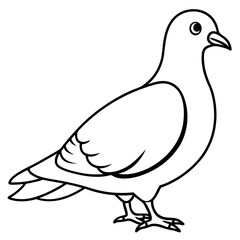 a dove doodle sketchy vector silhouette illustration with a white background 