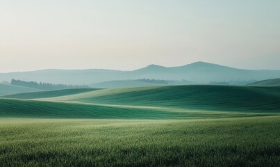 Minimalist Green Landscape, Generative AI
