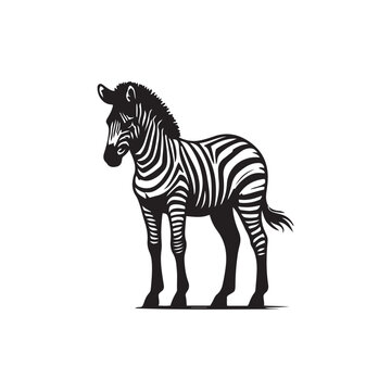 recommend clip art: zebra vector, zebra icon, silhouette of zebra crossing vector illustration, zebra silhouette, icon logo