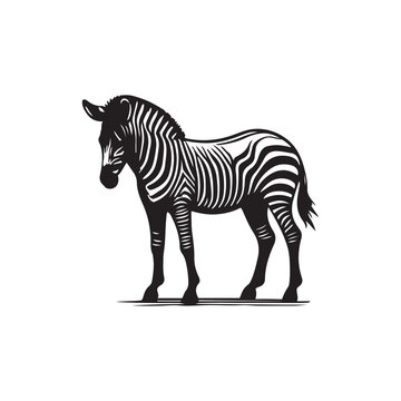 recommend clip art: zebra vector, zebra icon, silhouette of zebra crossing vector illustration, zebra silhouette, icon logo