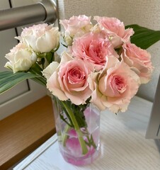 カーネーション(お祝い)