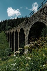 Historic Stone Viaduct in Nature