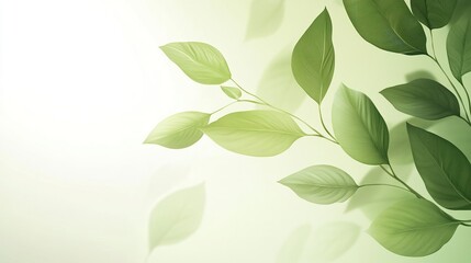 Elegant vector illustration of layered green leaves with subtle shadows