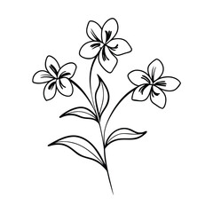 a black and white line drawing of a branch with three flowers