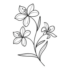 a black and white line drawing of a branch with three flowers