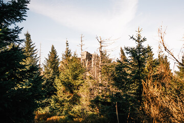 Brockenkinder im Harz bei sch&ouml;nem Herbst Wetter