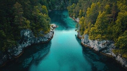 Serene Aerial View of Crystal Clear River Surrounded by Lush Green Trees and Rocky Shores in a Peaceful Nature Landscape