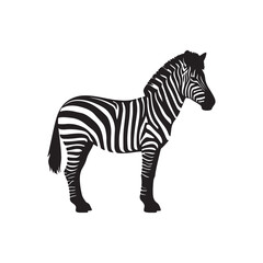 Obraz premium zebra of a silhouette vector design white background