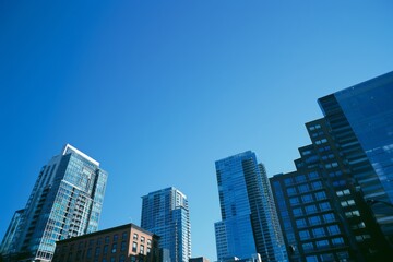 Fototapeta premium Clear Skyline Under Bright Blue Sky