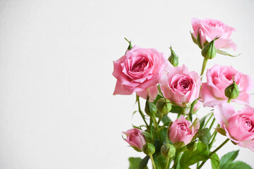 ピンクのスプレーばら