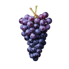 Fototapeta premium A bunch of fresh, purple grapes on a white background, captured in a top-down view, flat lay composition, close-up, high-resolution photography,