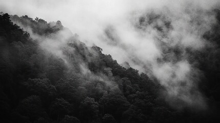 Misty mountain forest in monochrome.