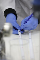 scientist working in laboratory